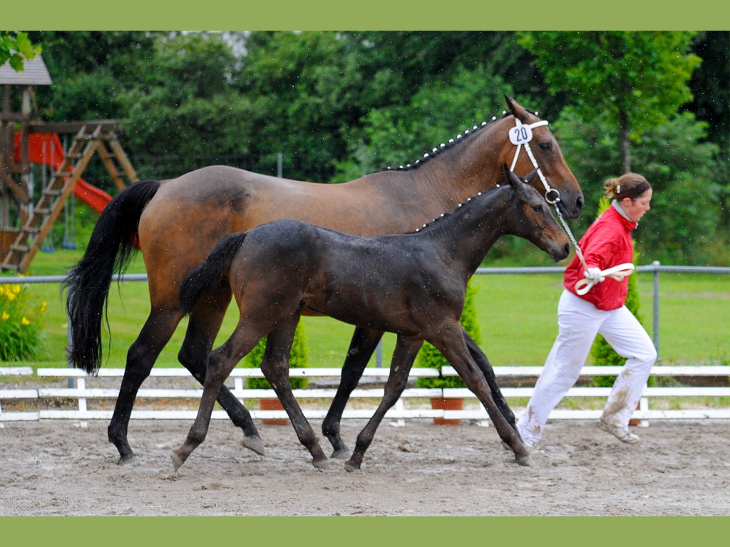 Capri von Billwil - Frauenfeld 7. Juni 2007