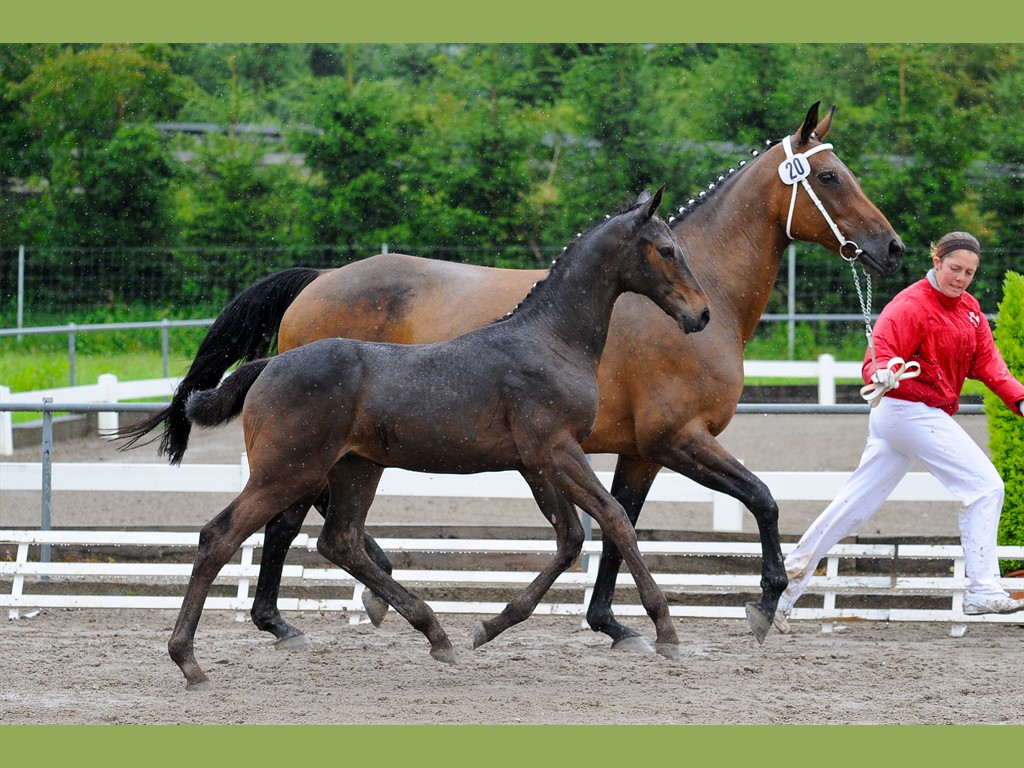 Capri von Billwil - Frauenfeld 7. Juni 2007