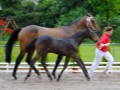 Capri von Billwil - Frauenfeld 7. Juni 2007